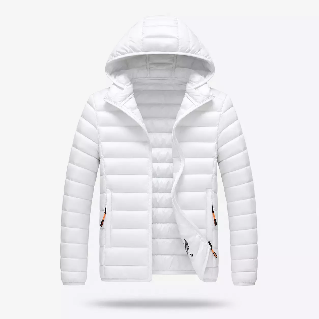 Doudoune Homme Imperméable avec Capuche 